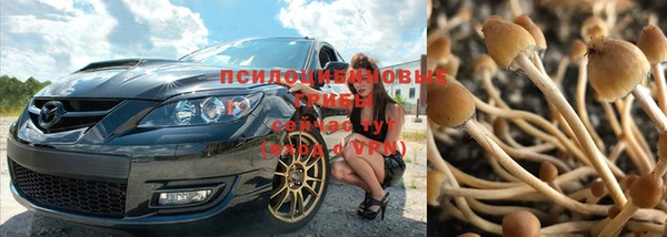 прущий лед Кукмор