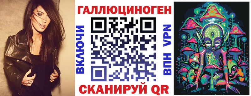Купить  Нытва  Галлюциногенные грибы Psilocybine cubensis 