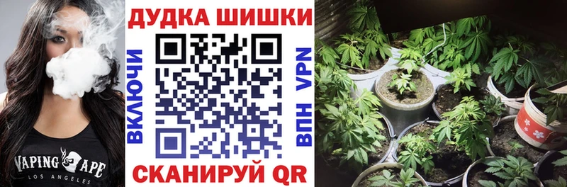 Купить где  Нытва  Конопля сатива 